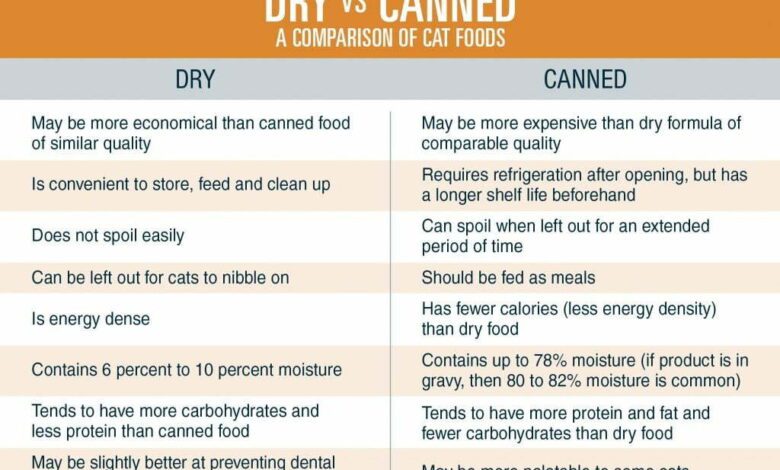 Dry Vs. Canned food