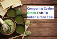 Comparing Ceylon Green Teas To Indian Green Teas