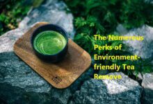 The Numerous Perks of Environment-friendly Tea Remove