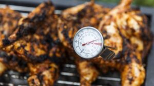 Use Food Thermometer