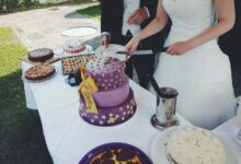 Best Wedding Cake Activities